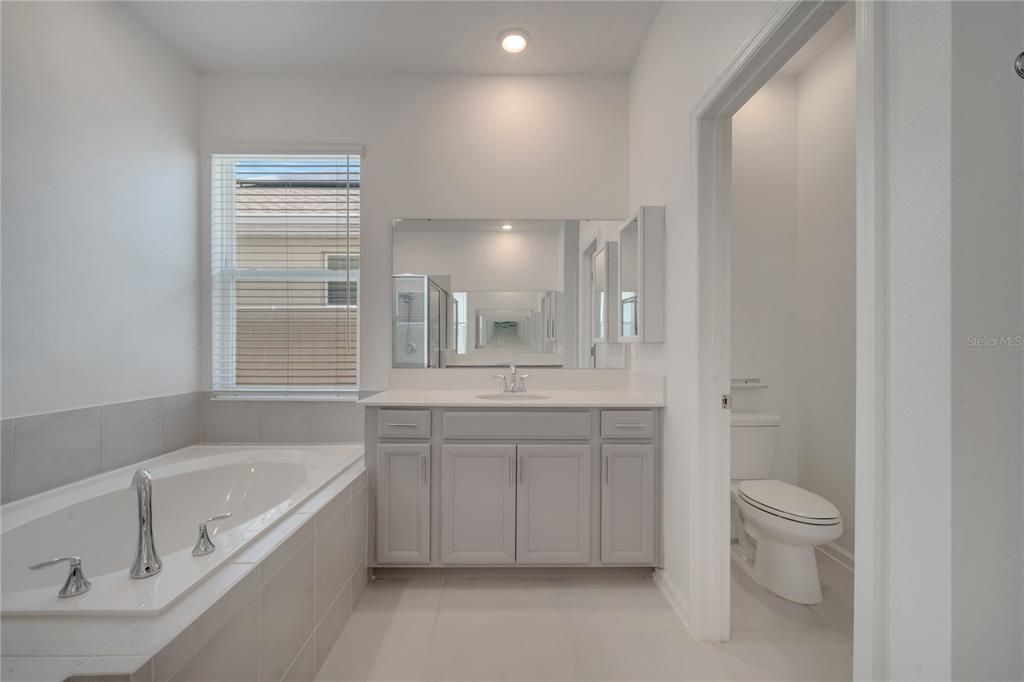 Soaking Tub, Double Vanities, and Separate Water Closet