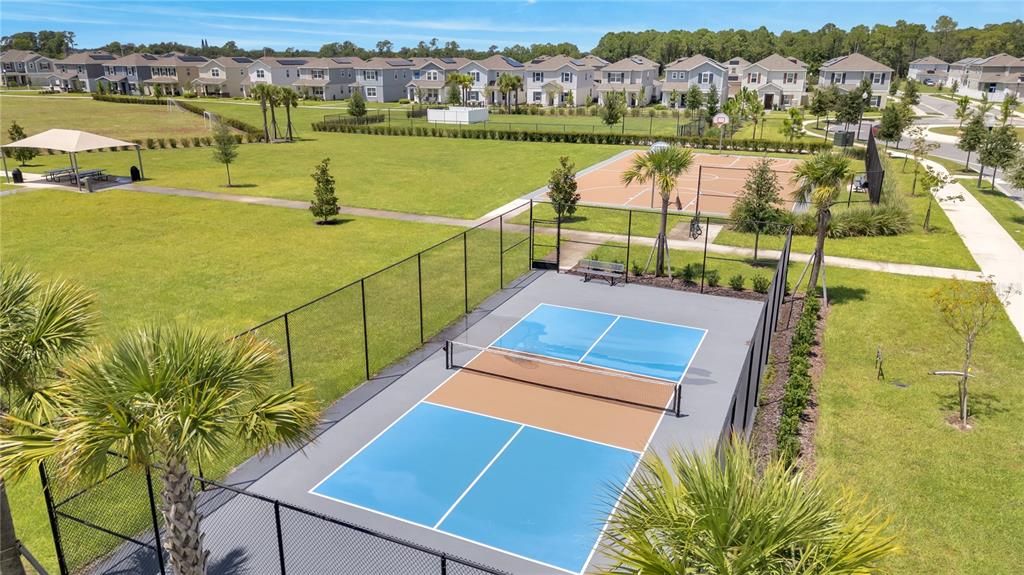 Pickleball Court