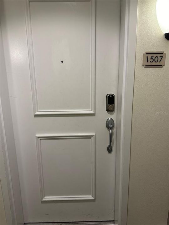 Condo door