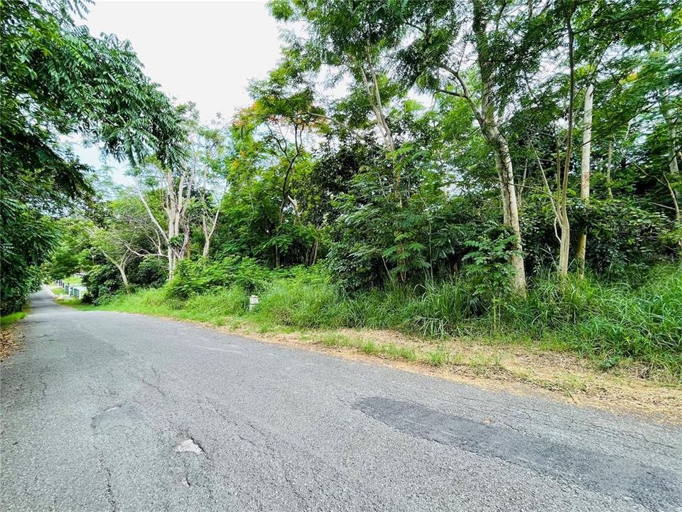 En Venta: $298,000 (1.18 acres)