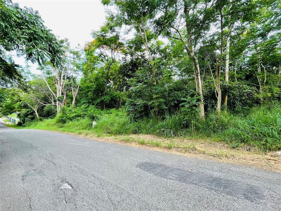 En Venta: $298,000 (1.18 acres)