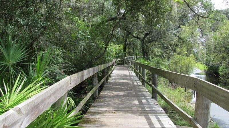 Flatwoods Wilderness park