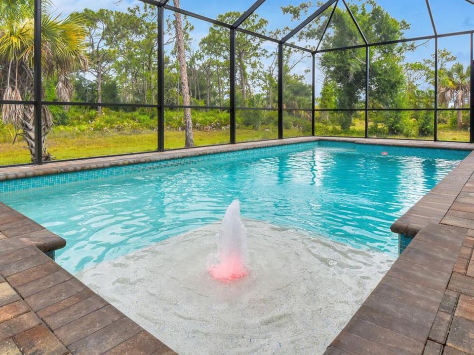 Pool with fountain