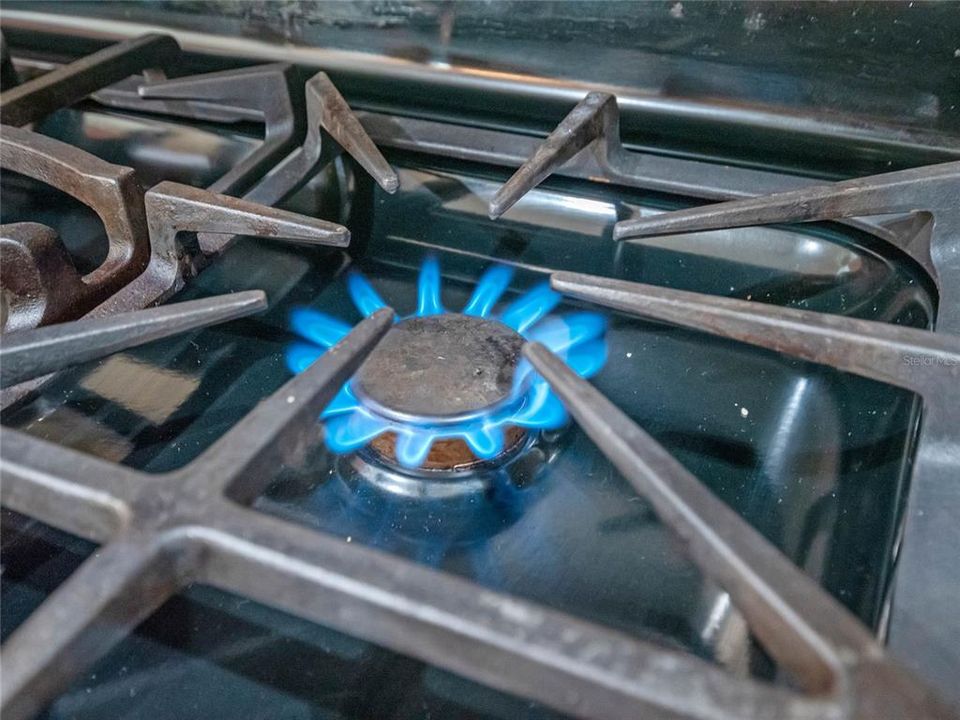 Gas Range