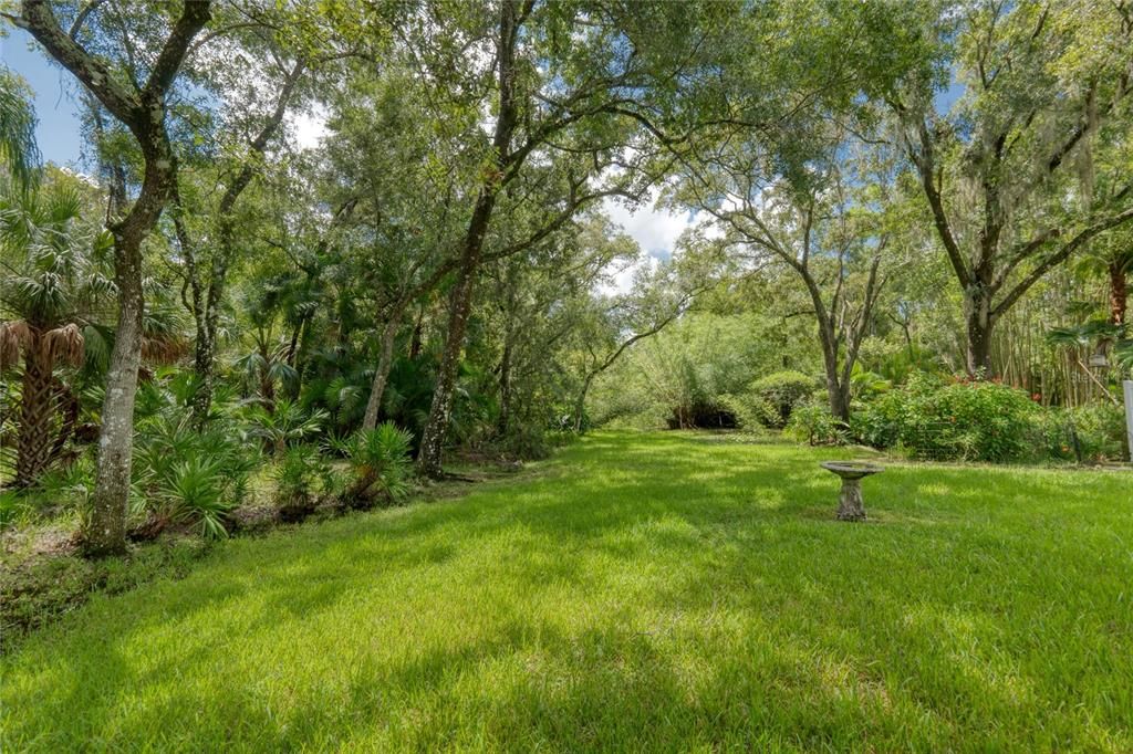 This home is on a Conservation lot