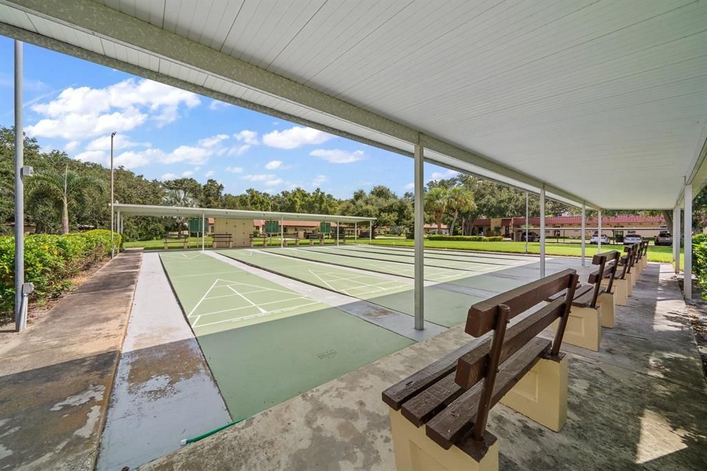 Community Shuffleboard