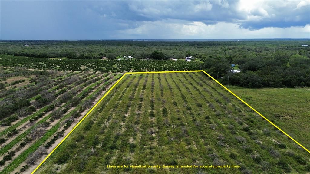 En Venta: $324,800 (9.28 acres)