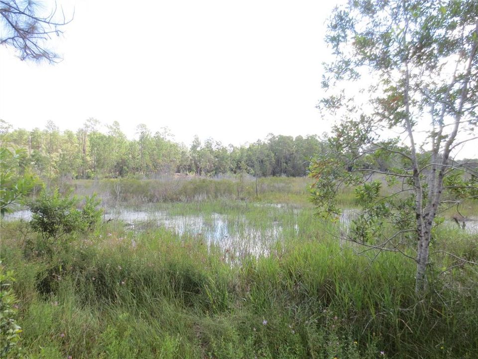 Active With Contract: $16,900 (0.86 acres)