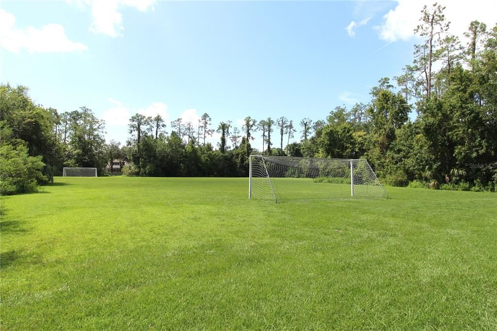 Soccer Field