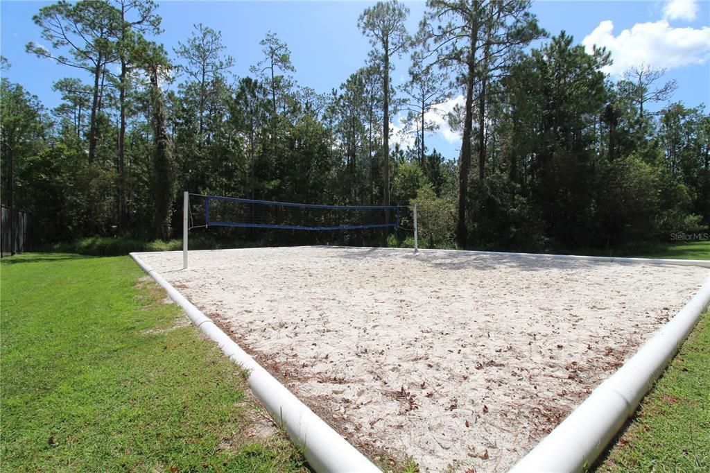 Volleyball Court