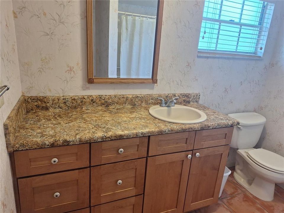 Hall Bathroom with Nice Cabinetry