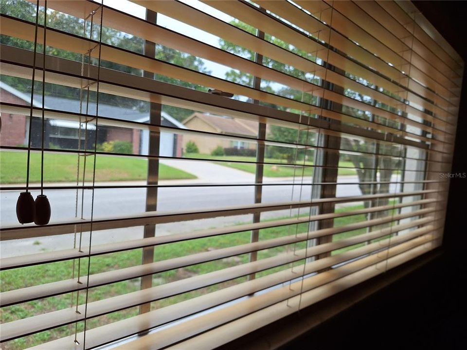 There are 2 Inch Wood Blinds Throughou