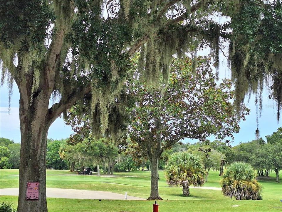 Absolutely Gorgeous Grounds all through Beacon Woods.