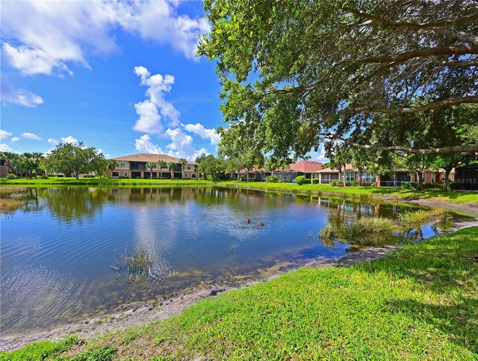 For Sale: $564,000 (3 beds, 2 baths, 1855 Square Feet)