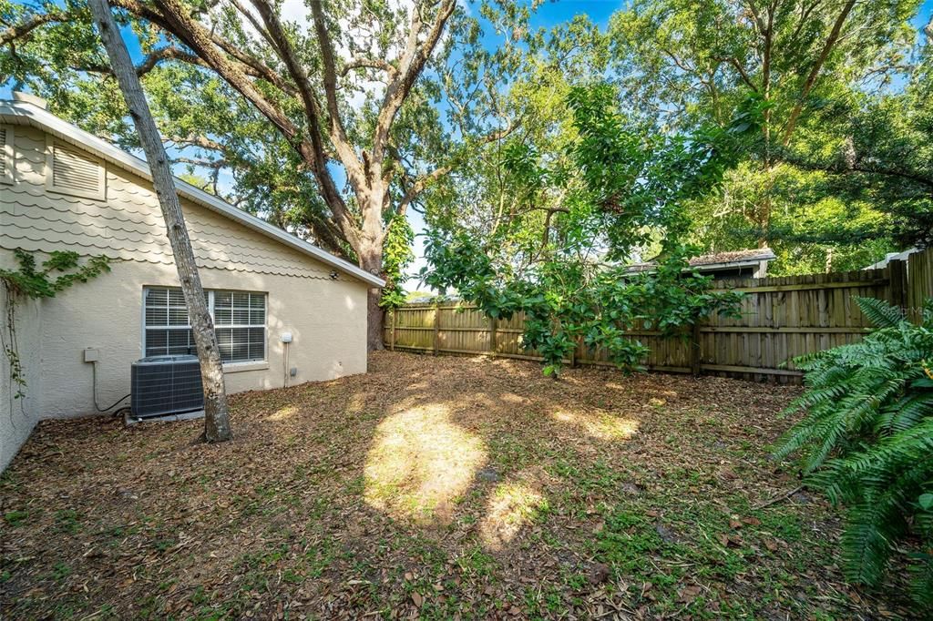 Fenced in backyard