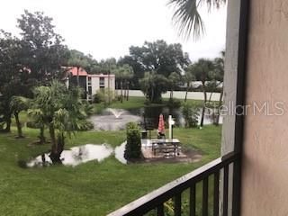 Pond View from balcony