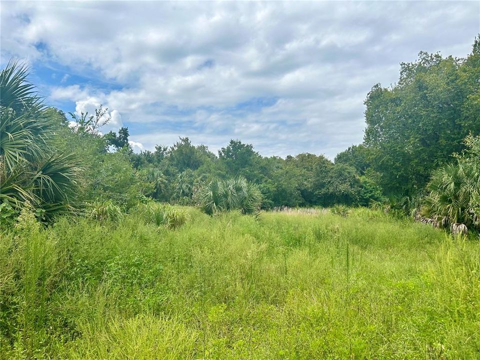 For Sale: $215,000 (2.06 acres)