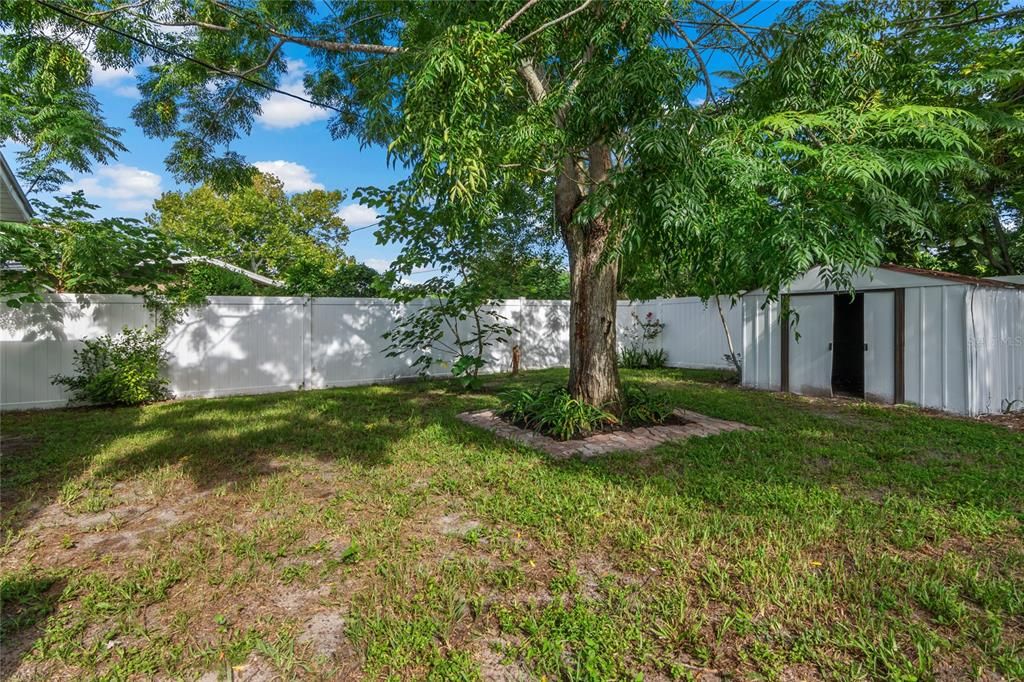 Fenced in Backyard