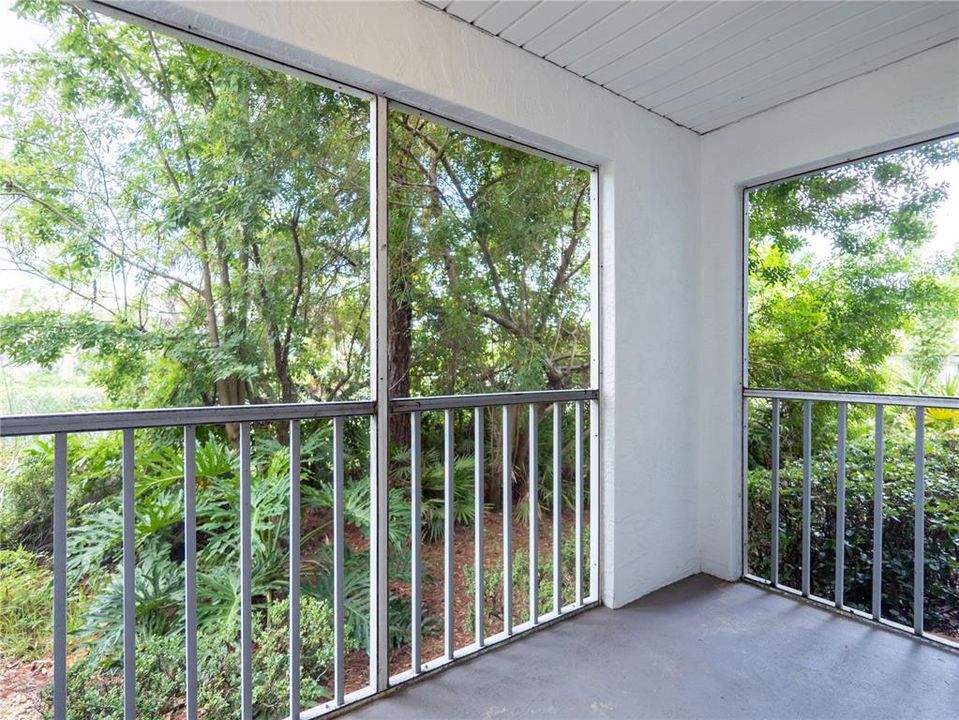 Enclosed Porch View