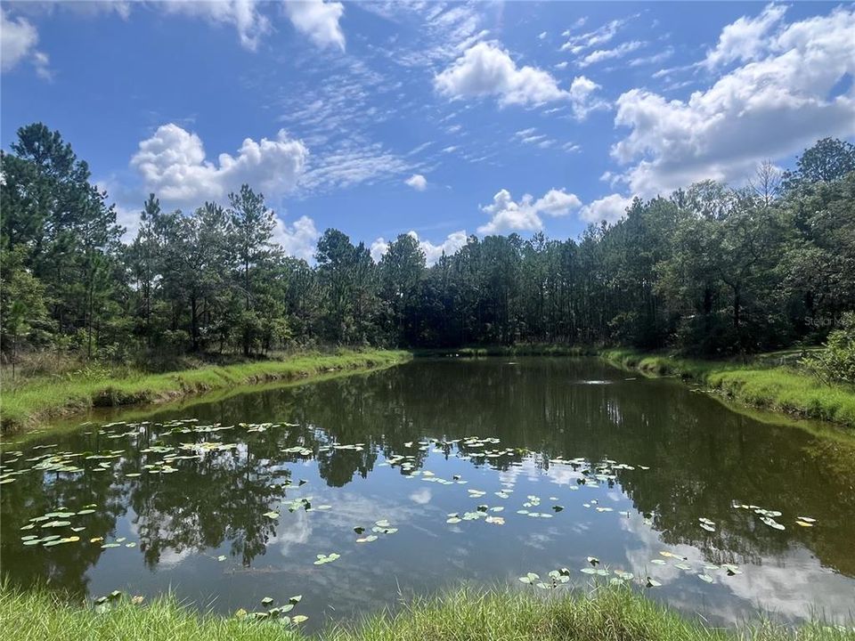 Aerated Lake