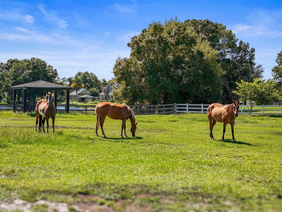 En Venta: $2,999,000 (7 camas, 8 baños, 8385 Pies cuadrados)