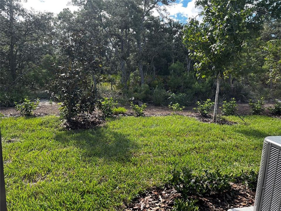 Reserve view from the pool area