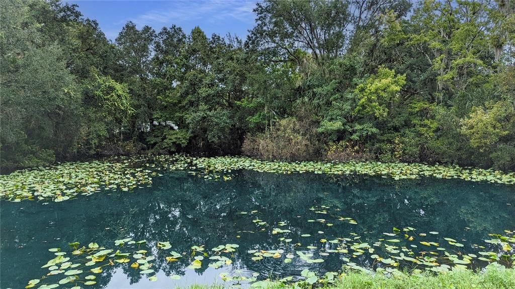 This is the Drainage Pond right across the Street- this is the view you'll see coming out of your Driveway!