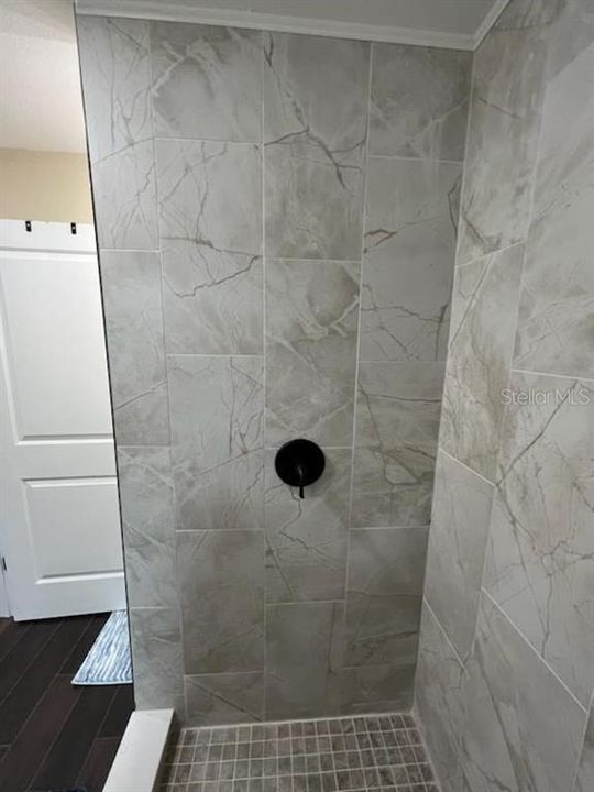 Guest House Walk-in Shower