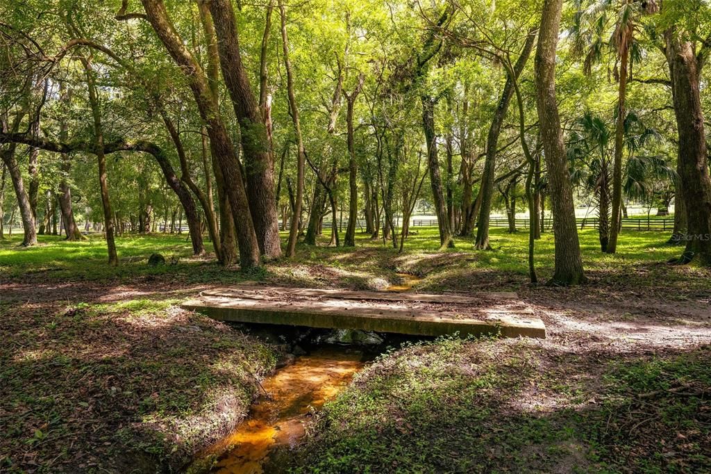 Majestic Oaks