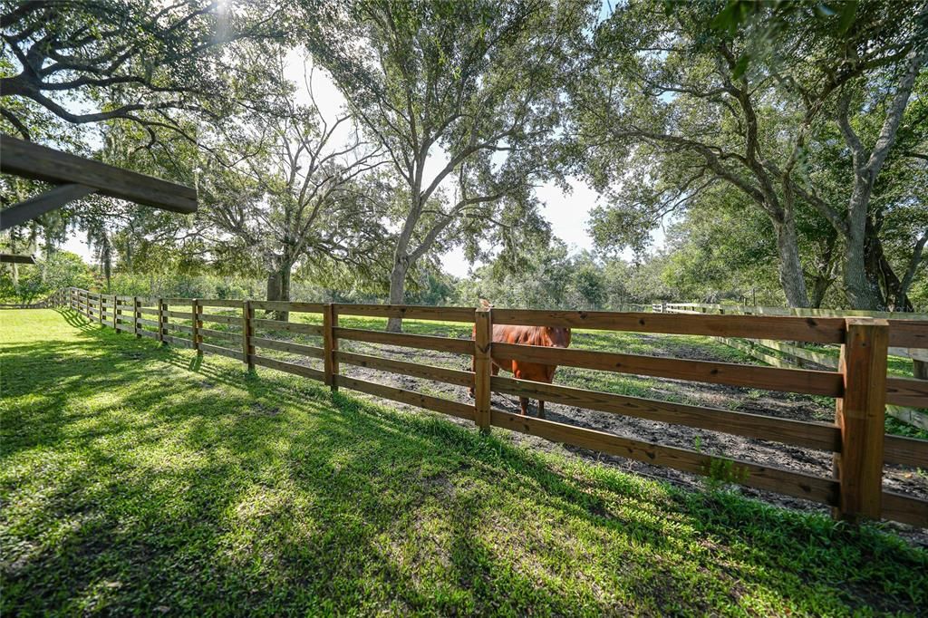 Board fencing