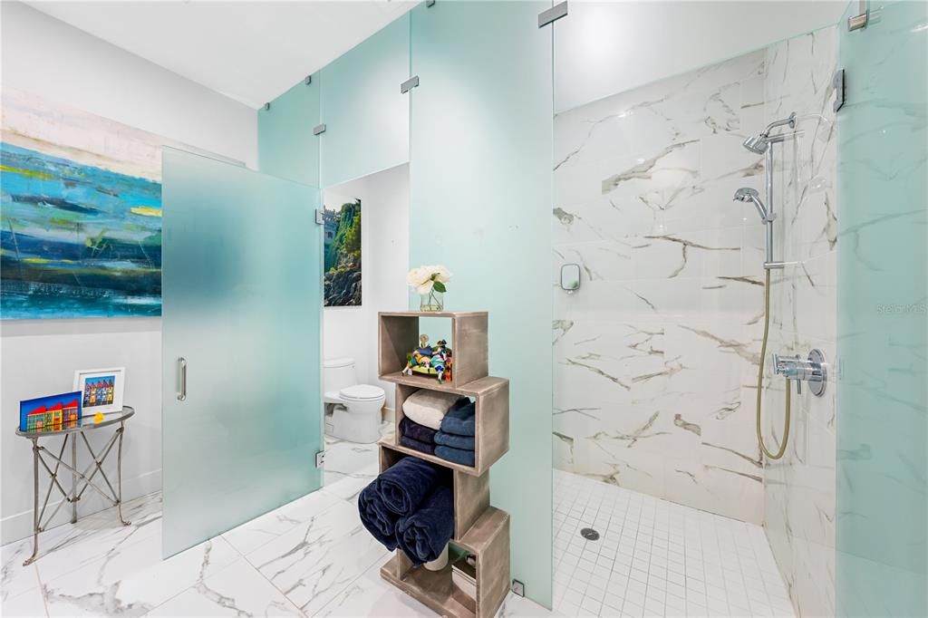 Large walk in shower and lavatory both behind frosted glass,