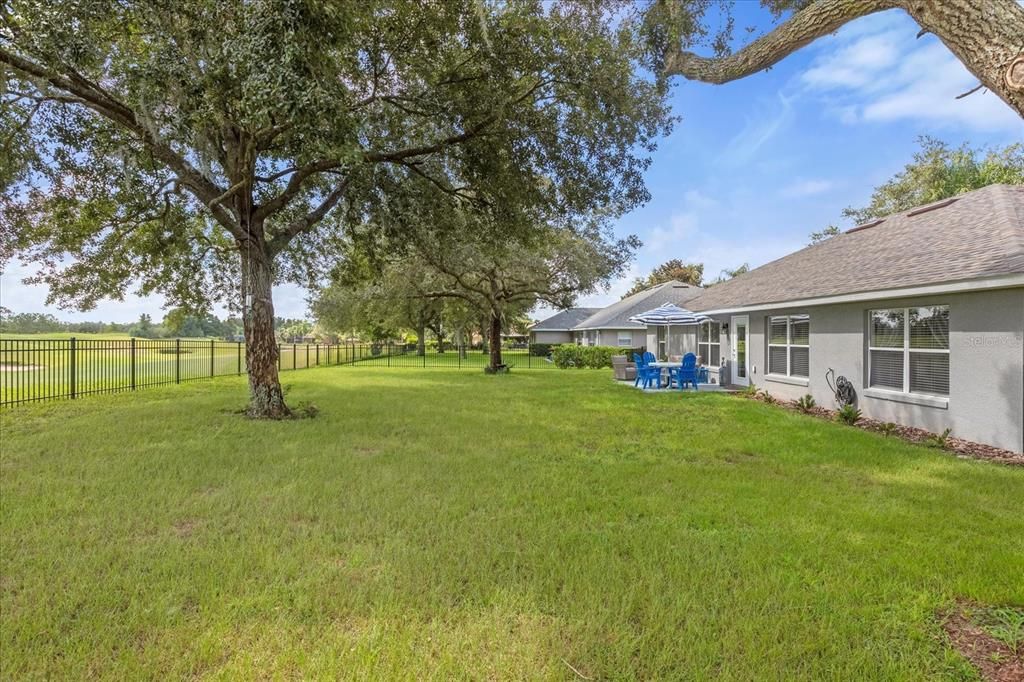 Large Fenced In Yard with great shade