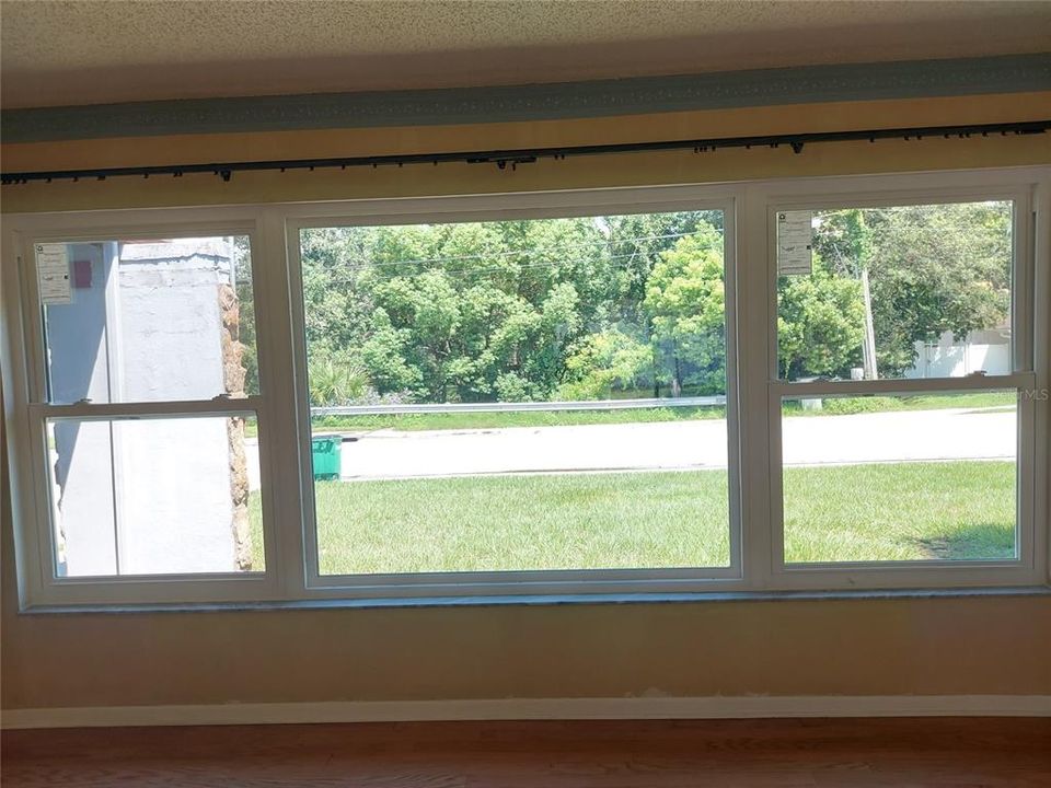 Living Room Window