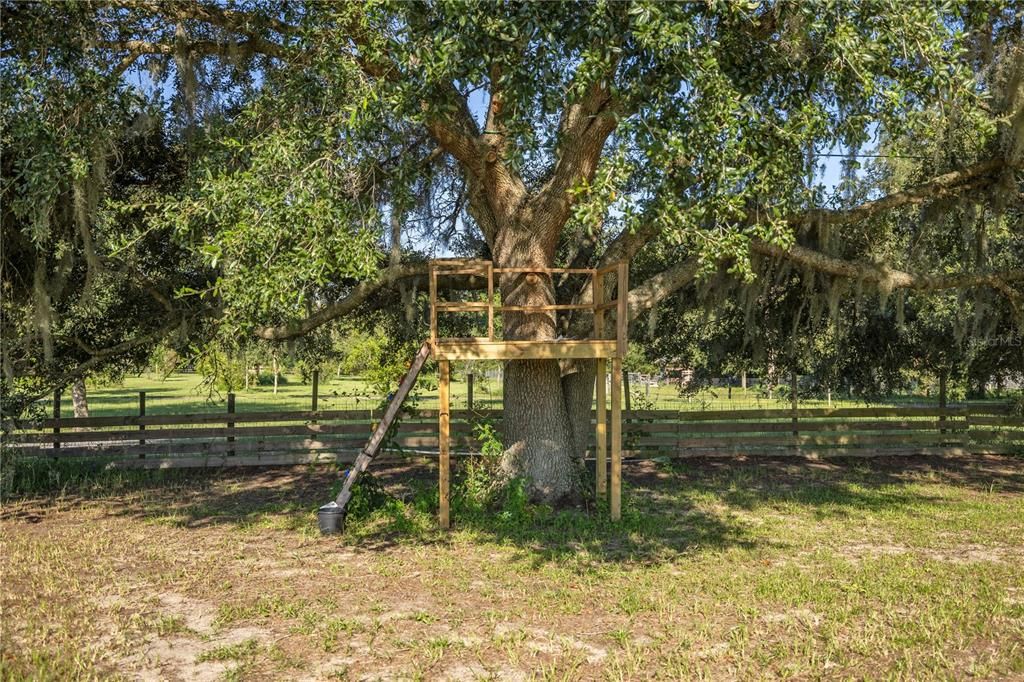 For Sale: $540,000 (3 beds, 2 baths, 1512 Square Feet)