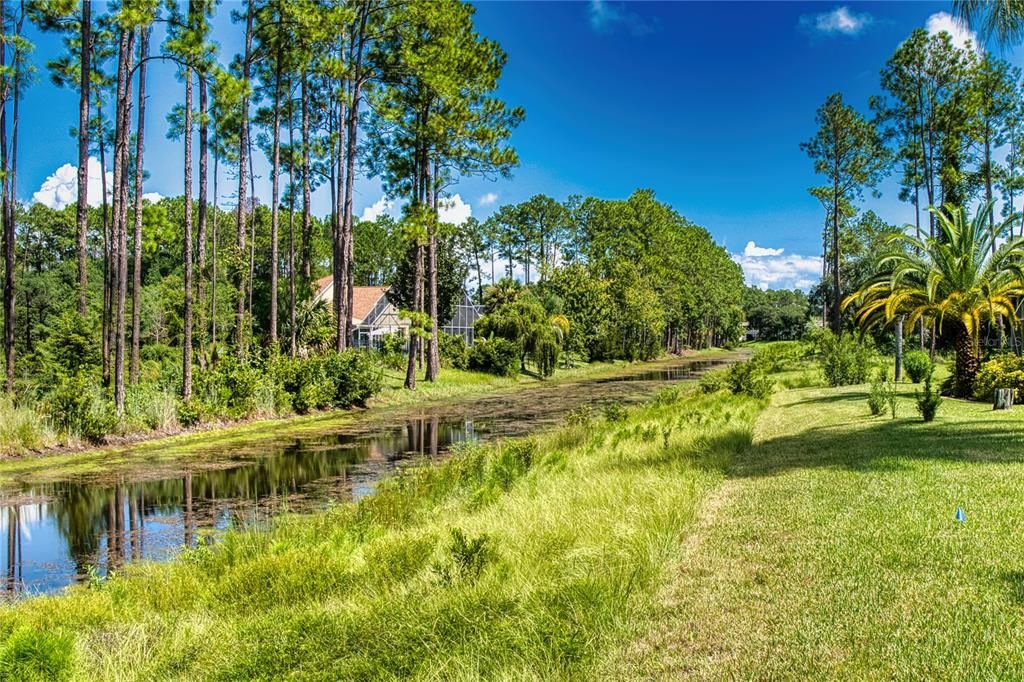 Serene freshwater canal offers enhanced privacy, surrounded by nature, and is perfect for canoeing, kayaking, or rowing. Teeming with fish, this picturesque waterway adds a lovely, tranquil touch to your backyard oasis.