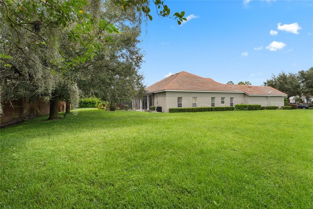 Backyard wide view