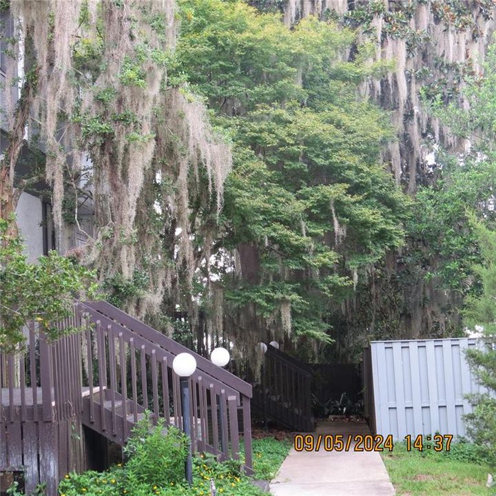 Walkway home