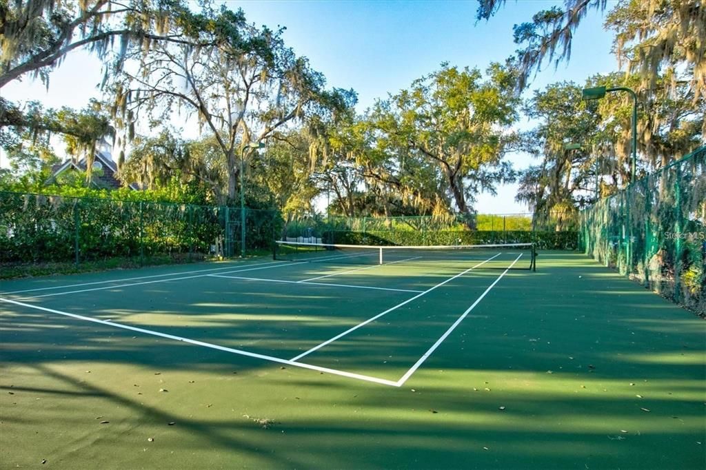 Community tennis/pickleball court surrounded by lush tropical Florida Palm trees, is Paradise found.