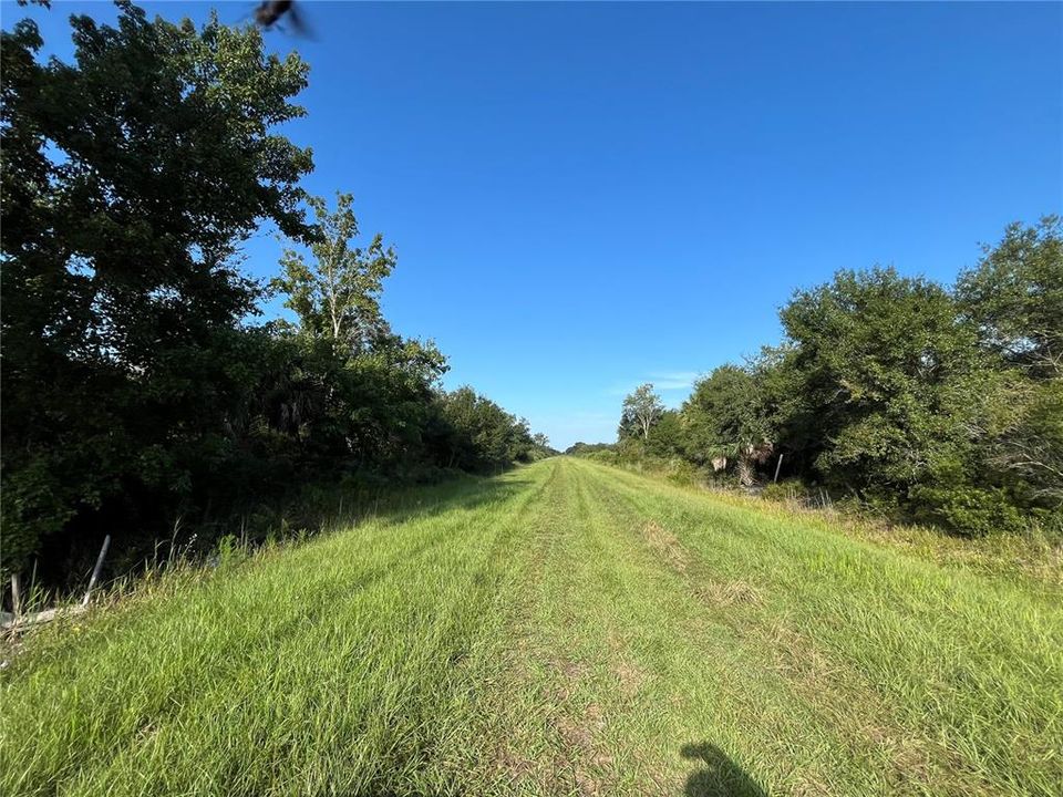 For Sale: $26,000 (1.25 acres)