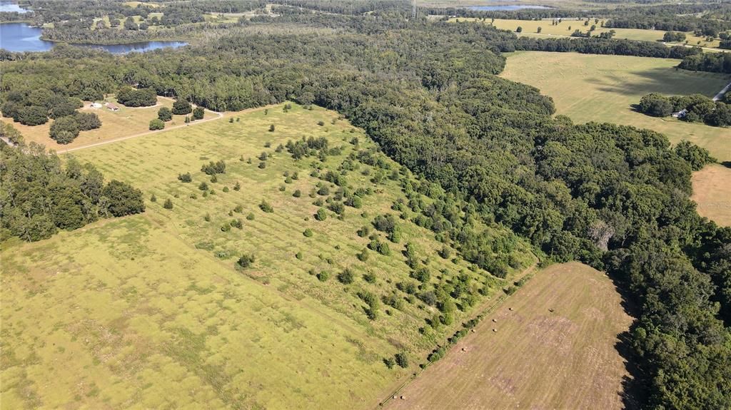 For Sale: $690,000 (20.00 acres)