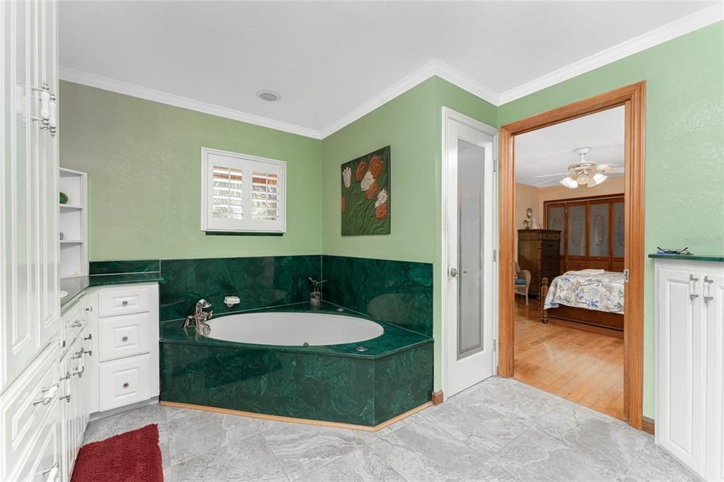 Master bathroom jacuzzi tub