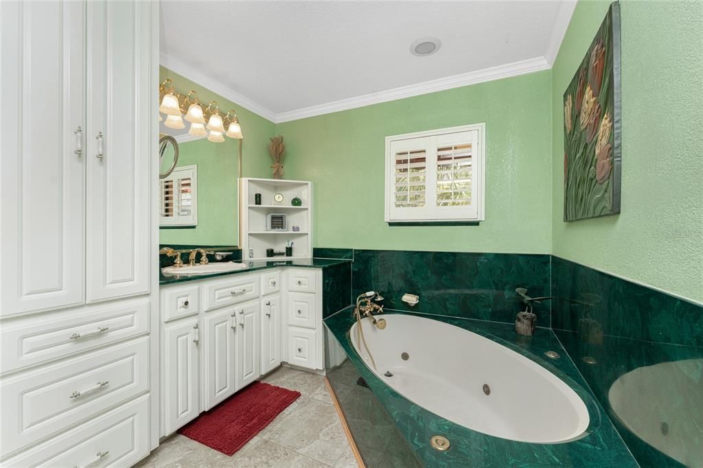 Master bathroom jacuzzi tub