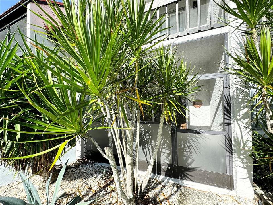 Private Screened in patio