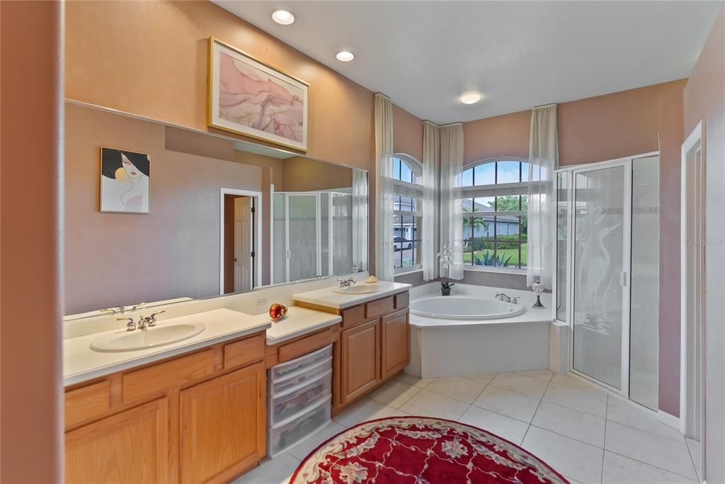 Master Bathroom with Tub