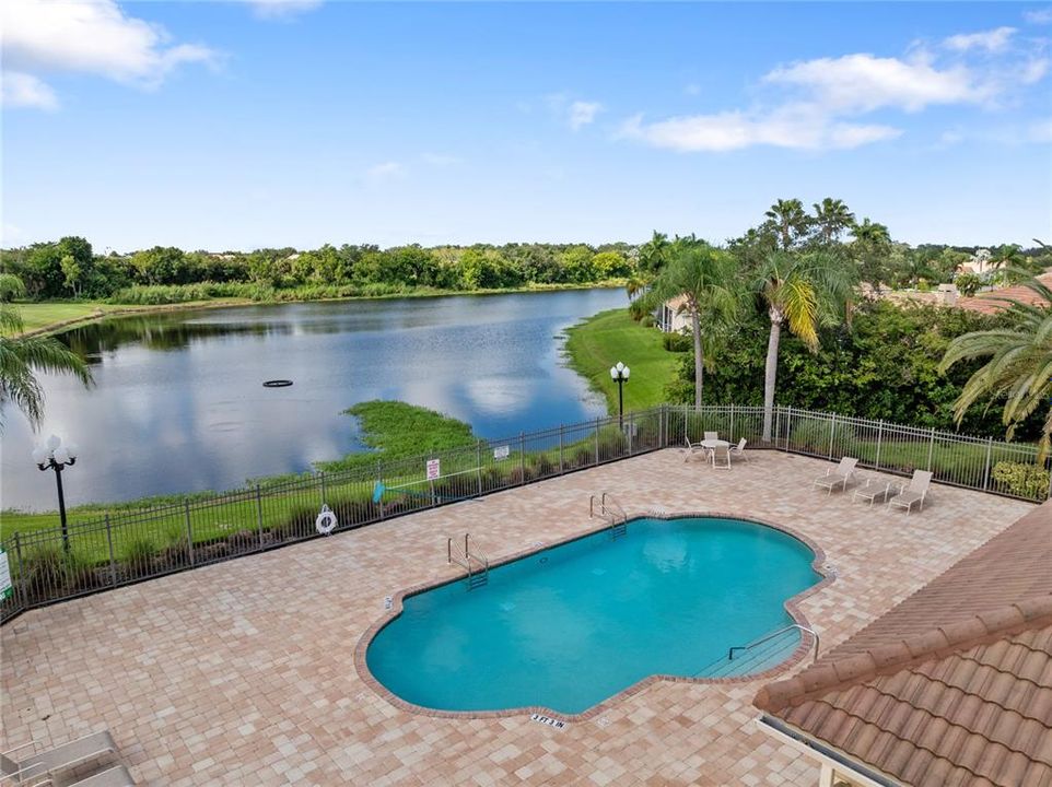 Community Pool Pond View