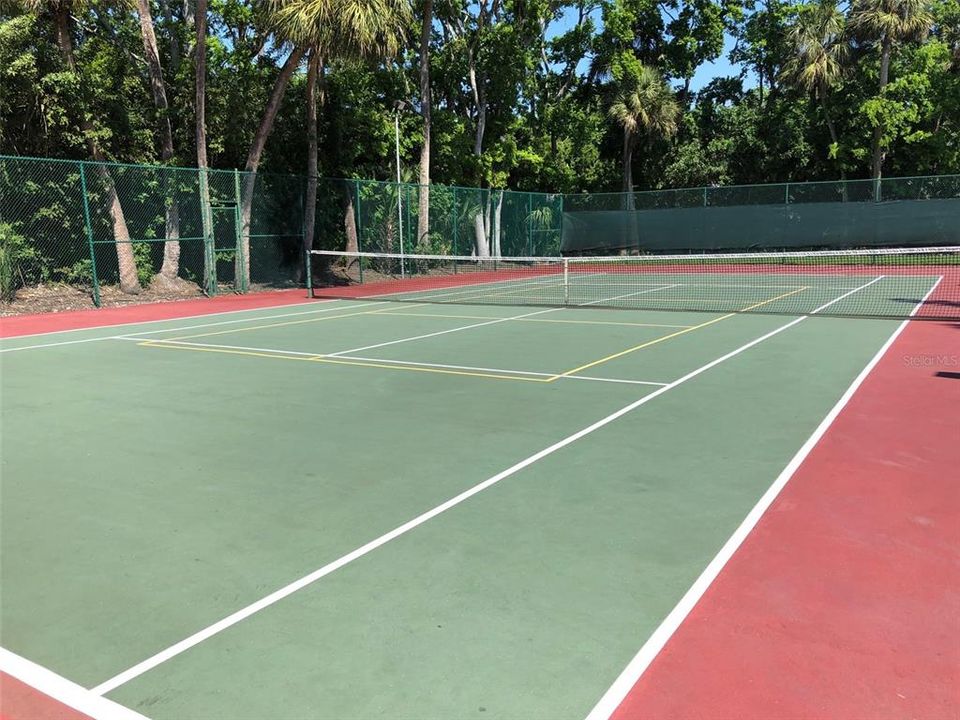 Tennis/pickleball court