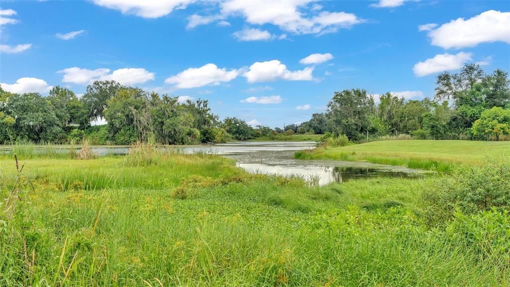 The back of the property has lake access. A dock can be built on this lake if you would like. The fishing is awesome here! The neighbors has fully cleared all their lake access and you could choose to do this too if you purchase this property!