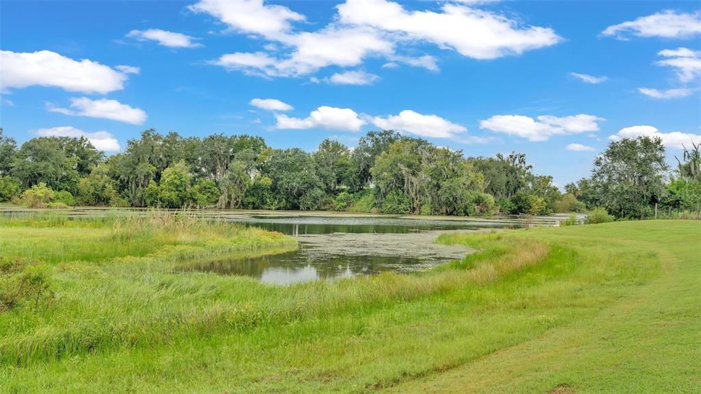 The back of the property has lake access. A dock can be built on this lake if you would like. The fishing is awesome here! The neighbors have fully cleared all their lake access and you could choose to do this too if you purchase this property!