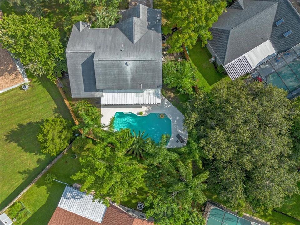 Aerial view of backyard