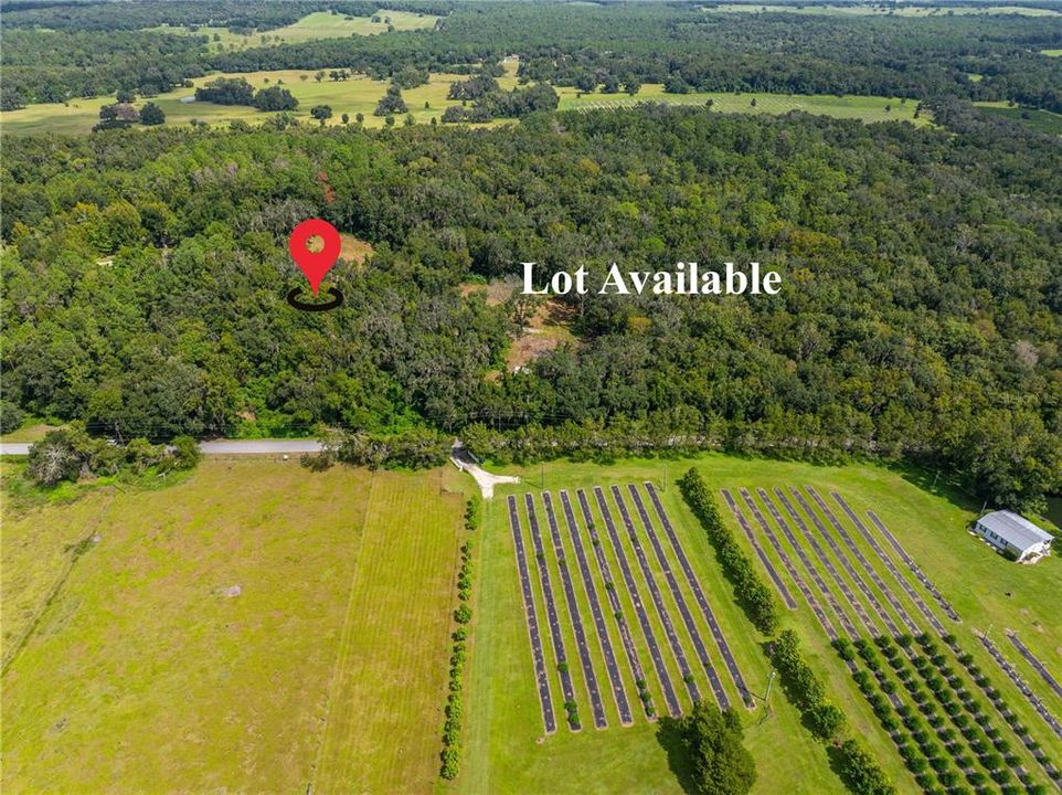 For Sale: $400,000 (8.90 acres)